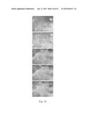 IMAGING AND EVALUATING EMBRYOS, OOCYTES, AND STEM CELLS diagram and image