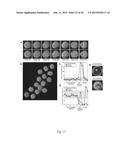 IMAGING AND EVALUATING EMBRYOS, OOCYTES, AND STEM CELLS diagram and image