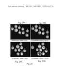 IMAGING AND EVALUATING EMBRYOS, OOCYTES, AND STEM CELLS diagram and image