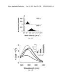 Quantitation of Cellular Adhesion Dynamics Across Immobilized Receptors     Under Rheological Shear Flow diagram and image