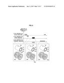 MAGNETIC RESONANCE IMAGING APPARATUS AND CONTROL METHOD THEREOF diagram and image