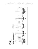 IMAGING LENS AND IMAGING APPARATUS diagram and image