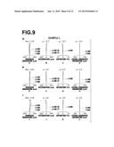 ZOOM LENS AND IMAGING APPARATUS diagram and image