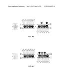 REFLECTIVE DISPLAY DEVICE AND METHOD FOR CONTROLLING THE SAME diagram and image