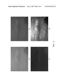 SYSTEM FOR IMPROVING FOGGY LUMINANCE IMAGE USING FOG REDUCTION ESTIMATION     MODEL diagram and image