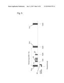 METHODS AND APPARATUSES FOR ENABLING DYNAMIC SCHEDULING REQUEST TIMING     INTERVAL|DURING DISCONTINUOUS RECEPTION diagram and image