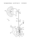 TURKEY DECOY APPARATUS diagram and image