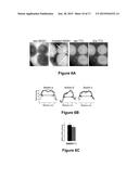 Systems and Methods for Visualizing Ablated Tissue diagram and image