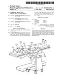 ENDOSCOPIC DEVICE WITH DOUBLE-HELICAL LUMEN DESIGN diagram and image