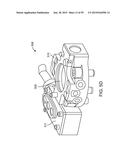 ENDOSCOPIC DEVICE WITH DOUBLE-HELICAL LUMEN DESIGN diagram and image