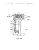 ENDOSCOPIC DEVICE WITH DOUBLE-HELICAL LUMEN DESIGN diagram and image