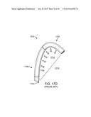 ENDOSCOPIC DEVICE WITH DOUBLE-HELICAL LUMEN DESIGN diagram and image