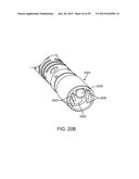 ENDOSCOPIC DEVICE WITH DOUBLE-HELICAL LUMEN DESIGN diagram and image