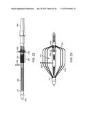 ADVANCED ENDOVASCULAR GRAFT AND DELIVERY SYSTEM diagram and image