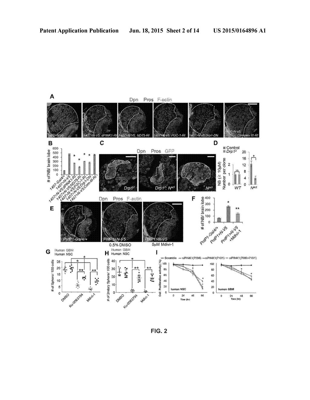 TARGETING A NON-CANONICAL NOTCH SIGNALING PATHWAY FOR CANCER TREATMENT - diagram, schematic, and image 03