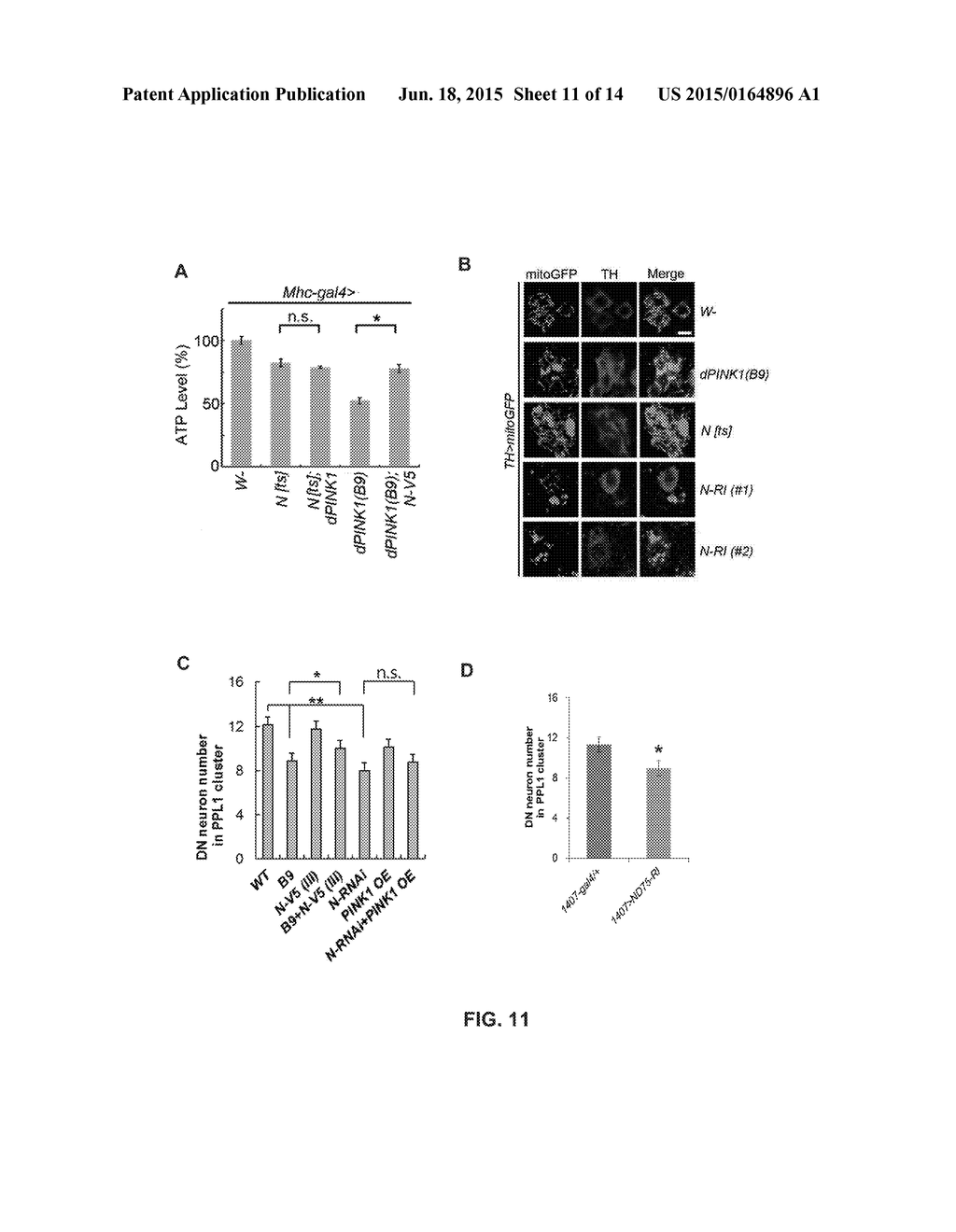 TARGETING A NON-CANONICAL NOTCH SIGNALING PATHWAY FOR CANCER TREATMENT - diagram, schematic, and image 12