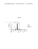 Methods of Ex Vivo Expansion of Blood Progenitor Cells, and Generation of     Composite Grafts diagram and image