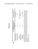 Methods of Ex Vivo Expansion of Blood Progenitor Cells, and Generation of     Composite Grafts diagram and image