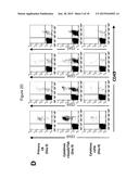 Methods of Ex Vivo Expansion of Blood Progenitor Cells, and Generation of     Composite Grafts diagram and image