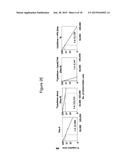 Methods of Ex Vivo Expansion of Blood Progenitor Cells, and Generation of     Composite Grafts diagram and image