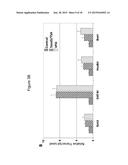 Methods of Ex Vivo Expansion of Blood Progenitor Cells, and Generation of     Composite Grafts diagram and image