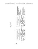 Methods of Ex Vivo Expansion of Blood Progenitor Cells, and Generation of     Composite Grafts diagram and image