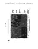 Methods of Ex Vivo Expansion of Blood Progenitor Cells, and Generation of     Composite Grafts diagram and image