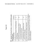 Methods of Ex Vivo Expansion of Blood Progenitor Cells, and Generation of     Composite Grafts diagram and image