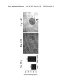 COMPOSITIONS AND METHODS OF TREATMENT WITH STEM CELLS diagram and image