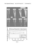 CONTRAST IMAGING APPLICATIONS FOR LANTHANIDE NANOPARTICLES diagram and image