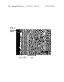 COMPLEX AND METHOD FOR MANUFACTURING COMPLEX diagram and image