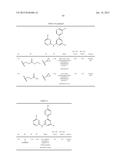 SUBSTITUTED DIAZINE AND TRIAZINE SPLEEN TYROSINE KINEASE (SYK) INHIBITORS diagram and image