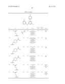 SUBSTITUTED DIAZINE AND TRIAZINE SPLEEN TYROSINE KINEASE (SYK) INHIBITORS diagram and image