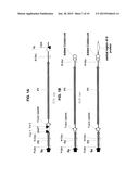 RECOMBINANT RSV ANTIGENS diagram and image