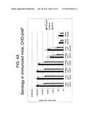 RECOMBINANT RSV ANTIGENS diagram and image