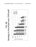 RECOMBINANT RSV ANTIGENS diagram and image