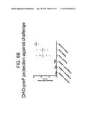 RECOMBINANT RSV ANTIGENS diagram and image