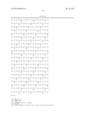 RECOMBINANT RSV ANTIGENS diagram and image