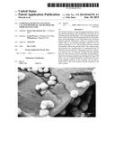 Composite Pigments Containing Calcium Phosphate and Method for Their     Manufacture diagram and image