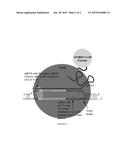 METHODS FOR CORRECTING VON WILLEBRAND FACTOR POINT MUTATIONS diagram and image