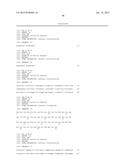 METHODS FOR CORRECTING VON WILLEBRAND FACTOR POINT MUTATIONS diagram and image