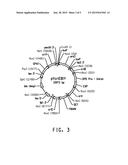 ASTAXANTHIN PRODUCTION USING A RECOMBINANT MICROBIAL HOST CELL diagram and image