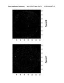 Assays for Single Molecule Detection and Use Thereof diagram and image