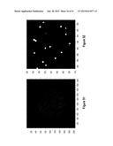 Assays for Single Molecule Detection and Use Thereof diagram and image