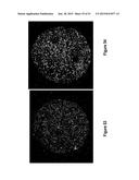 Assays for Single Molecule Detection and Use Thereof diagram and image