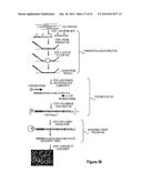 Assays for Single Molecule Detection and Use Thereof diagram and image