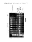 Assays for Single Molecule Detection and Use Thereof diagram and image