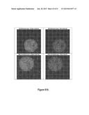 Assays for Single Molecule Detection and Use Thereof diagram and image