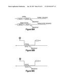 Assays for Single Molecule Detection and Use Thereof diagram and image