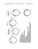 METHODS FOR ANTIBODY AND CELL THERAPEUTIC DISCOVERY diagram and image